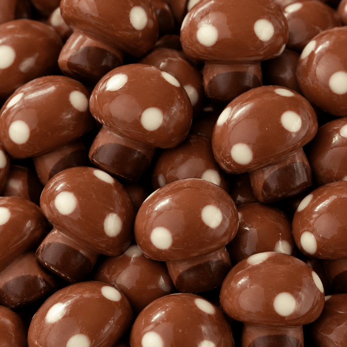 Champignon Praliné - Chocolat Lait (x5)