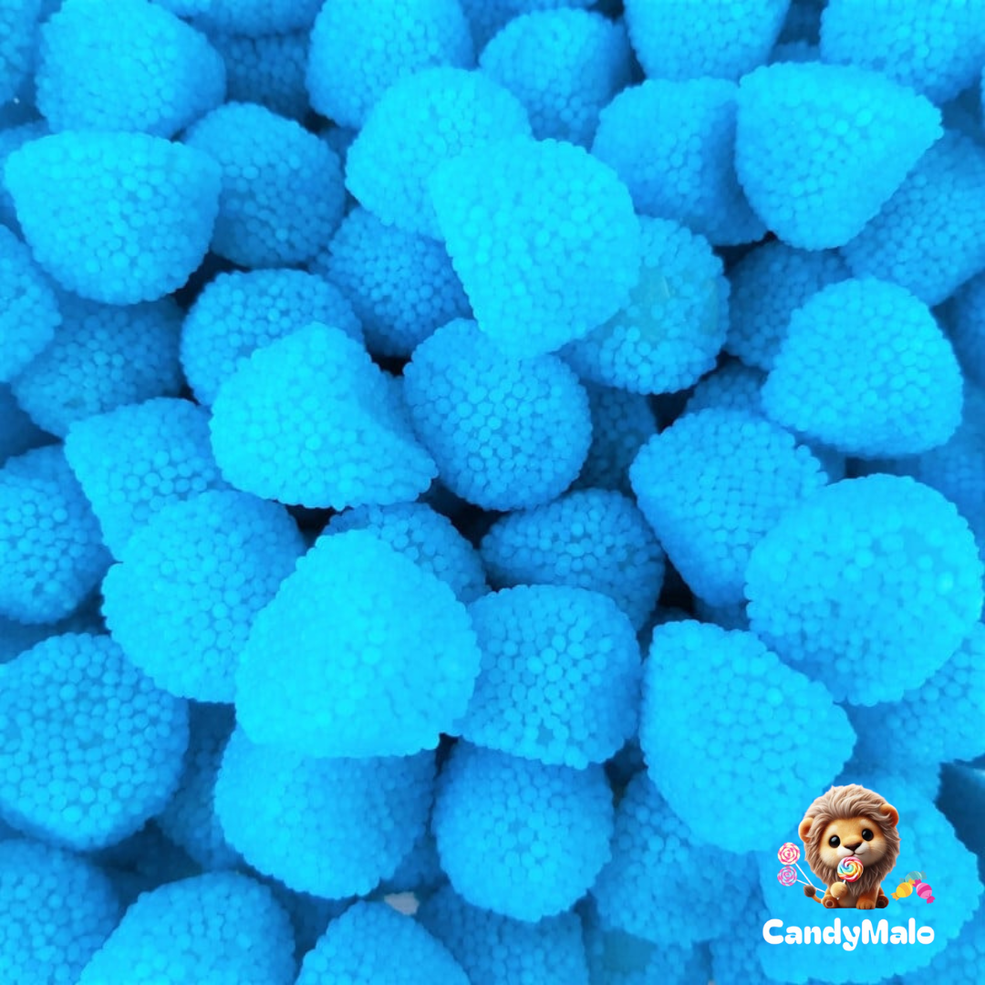 Mûres bleues (100g)