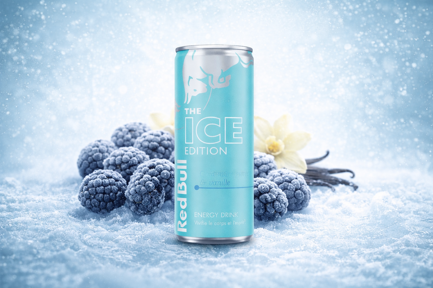 Red Bull Mûre Givrée / Vanille (x1)