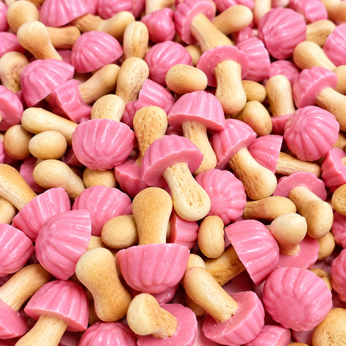 Champignon Fraise (100g)