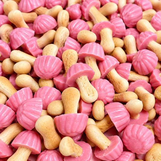 Champignon Fraise (100g)