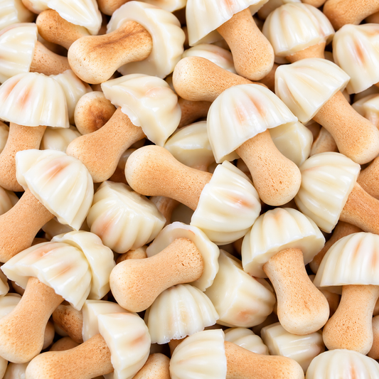 Champignon Chocolat Blanc (100g)