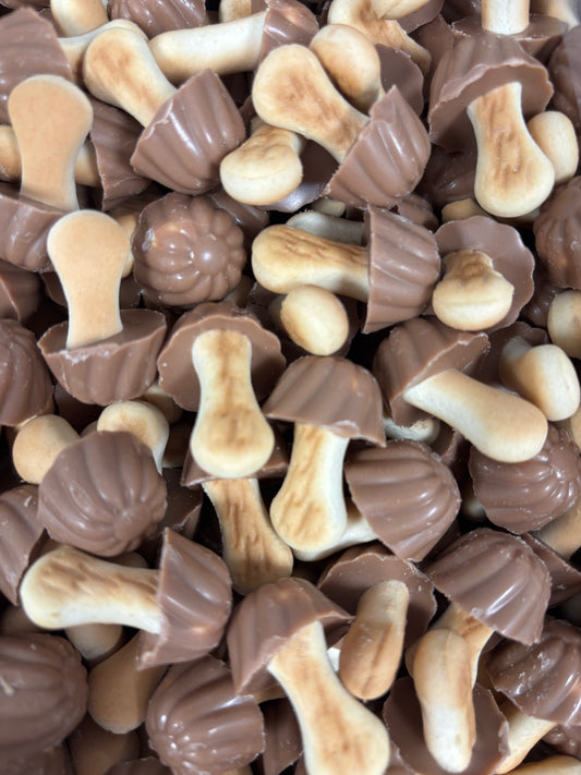 Champignons Chocolat / Biscuits (x10)