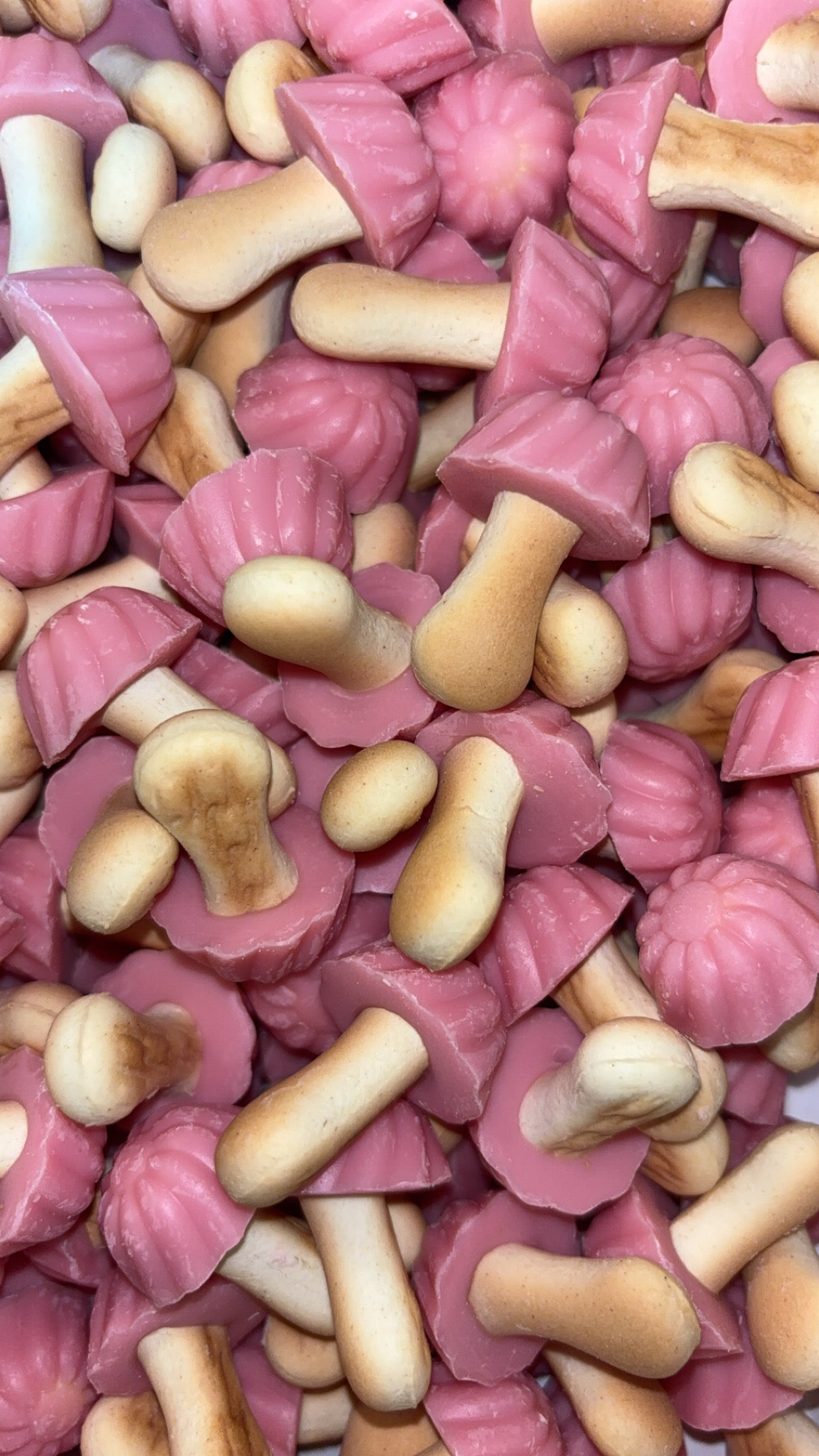 Champignons Fraise / Biscuit (x10)