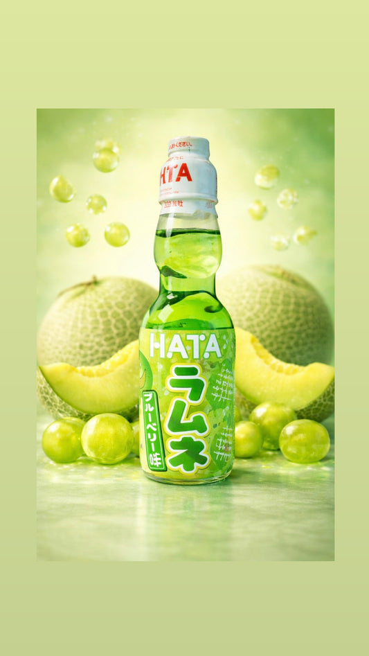 Hata Melon japonais (x1)